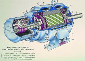 Что такое крановые электродвигатели, и чем они отличаются от промышленных